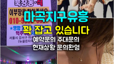마곡셔츠룸 끝까지 책임지는 사람 꼭 한번 찾아주세요 발산역골든타워 마곡노래빵