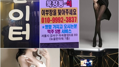 마곡지구뉴골든타워 믿을만한 프로 영업진 믿음직한 동생이 되어드릴께요 마곡셔츠룸 마곡노래클럽 발산동퍼블릭