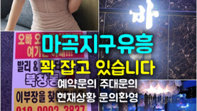 일등영업진 마곡셔츠룸 만족도 최상 믿음직한 동생이 되어드릴께요 마곡놀이터룸 발산역셔츠룸